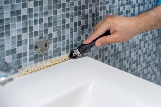 Best Local Mold Removal Service  in Pleasant Valley, WV