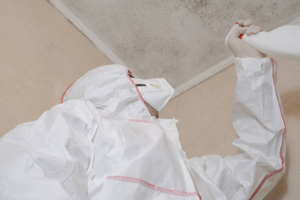 Best Attic Mold Removal  in Pleasant Valley, WV